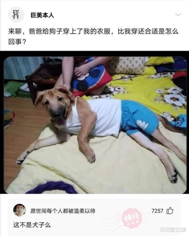 “女同事约我打网球,她突然摆出这个姿势,是在暗示我吗?” “女同事约我打网球,她突然摆出这个姿势,是在暗示我吗?”