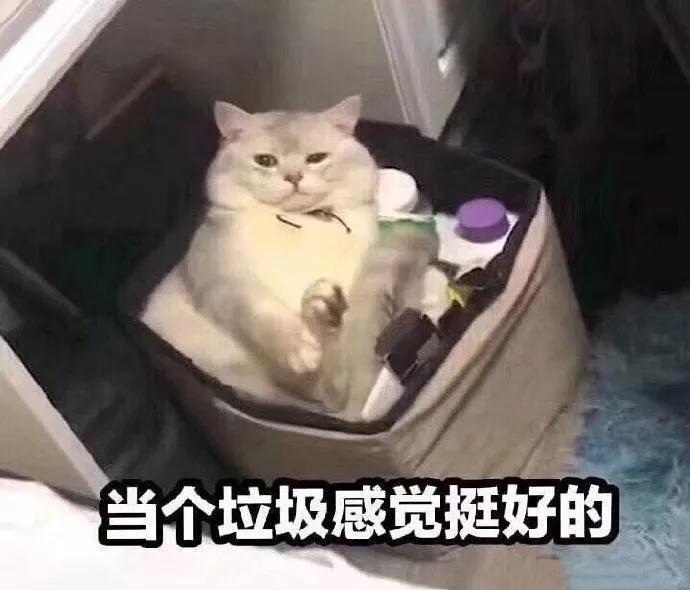 “姑娘你有礼貌吗?在火车上做这个动作,不尴尬吗?”哈哈哈 “姑娘你有礼貌吗?在火车上做这个动作,不尴尬吗?”哈哈哈
