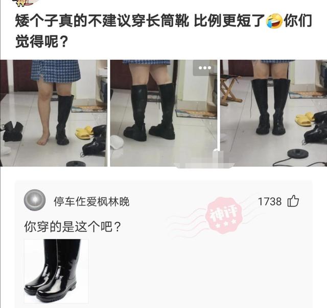 神回复:有没有这样一种可能,霸王龙是有毛的! 神回复:有没有这样一种可能,霸王龙是有毛的!
