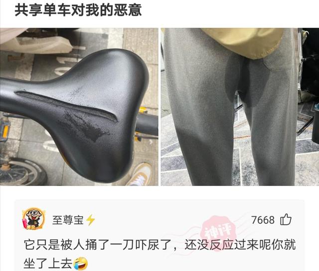 神回复:有没有这样一种可能,霸王龙是有毛的! 神回复:有没有这样一种可能,霸王龙是有毛的!
