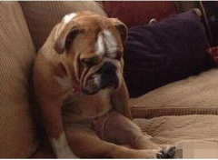 让我一个人静静的悲伤吧