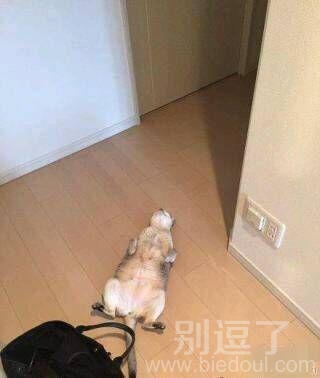 遇到啥伤心事了。