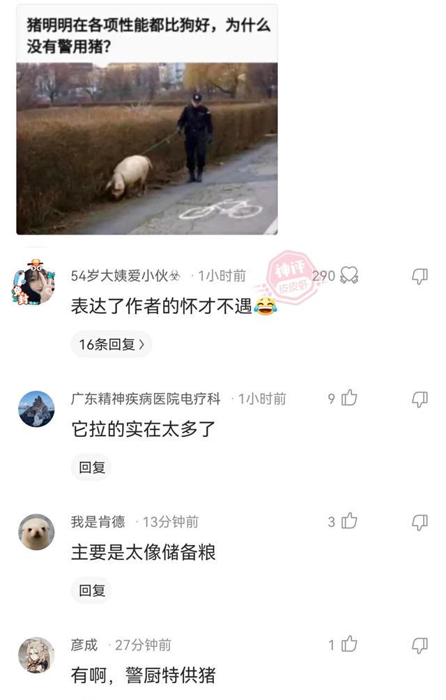 每日一乐,各种神评 每日一乐,各种神评