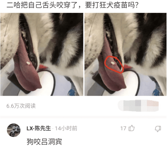 “没看我衣服湿透了吗？还拍！”哈哈哈哈，这下好了丢人丢大发了～