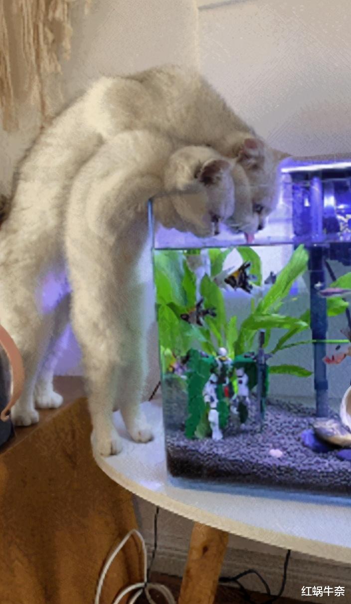 每当老婆穿上这套衣服的时候,战斗就只能维持几分钟!这可怎么办啊?哈哈哈哈 每当老婆穿上这套衣服的时候,战斗就只能维持几分钟!这可怎么办啊?哈哈哈哈