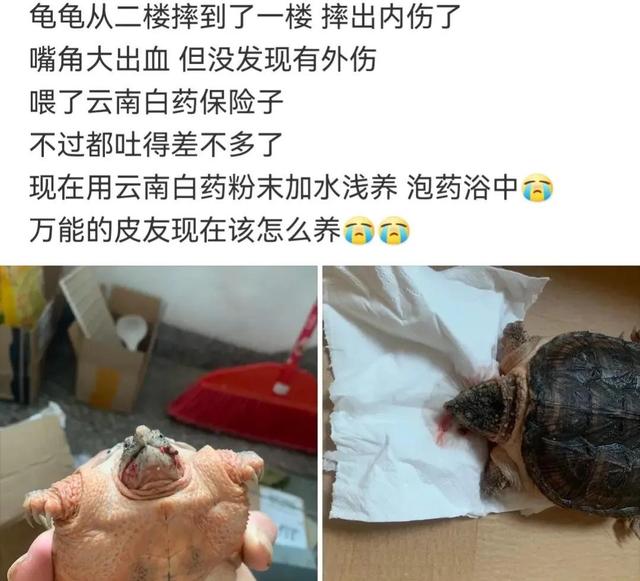 神回复:媳妇跑了,生意赔了,职位降了,合同拒了,钱包空了 神回复:媳妇跑了,生意赔了,职位降了,合同拒了,钱包空了