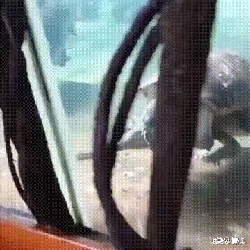 “无意发现我妈有个群, 群名尺度真的让我汗颜…老爸知道你就完了!”啊哈哈哈哈 “无意发现我妈有个群, 群名尺度真的让我汗颜…老爸知道你就完了!”啊哈哈哈哈