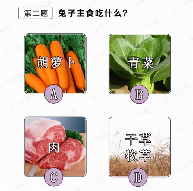 和女同事去KTV,我喝多了趴沙发上装睡,没想到她们公开议论 和女同事去KTV,我喝多了趴沙发上装睡,没想到她们公开议论