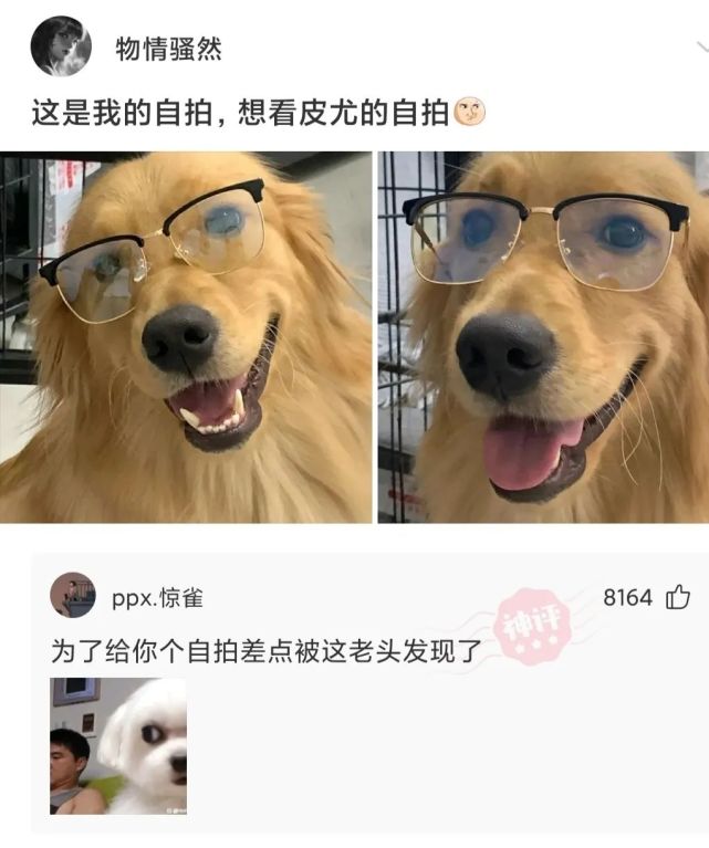 神回复:关爱未成年人,扣好第一粒扣子 神回复:关爱未成年人,扣好第一粒扣子