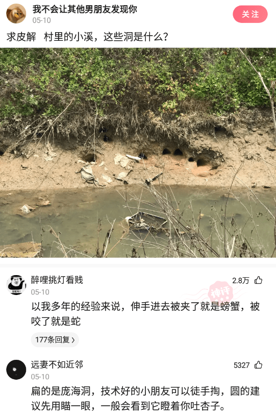 神回复:关爱未成年人,扣好第一粒扣子 神回复:关爱未成年人,扣好第一粒扣子