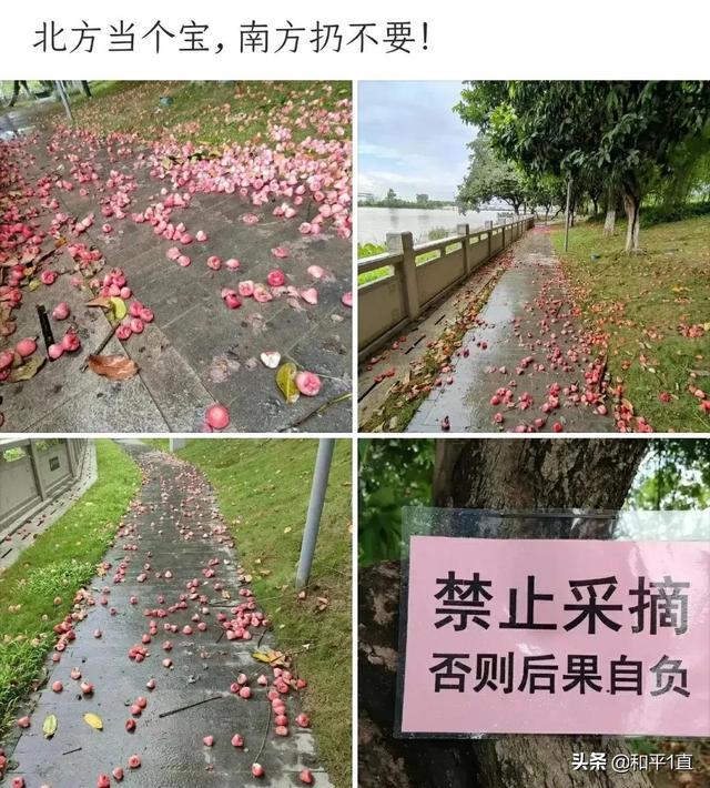 等你自己坐公交到医院挂水,你就知道其实现在很幸福了 等你自己坐公交到医院挂水,你就知道其实现在很幸福了