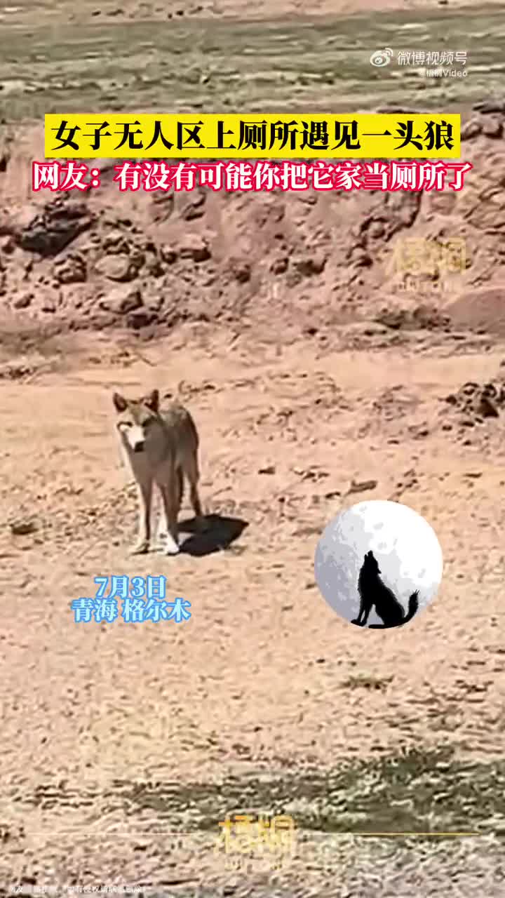 轻松一刻：哇哦，没想到易友的投稿都这么刺激！！
