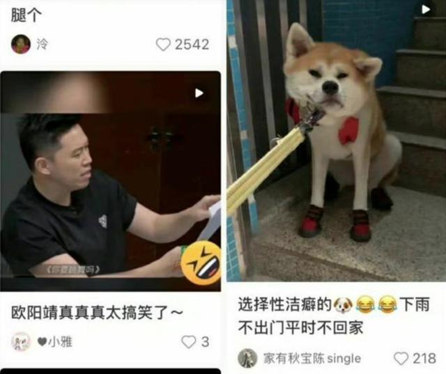 小红书的迷之排版,是要笑死我吗?哈哈哈 小红书的迷之排版,是要笑死我吗?哈哈哈