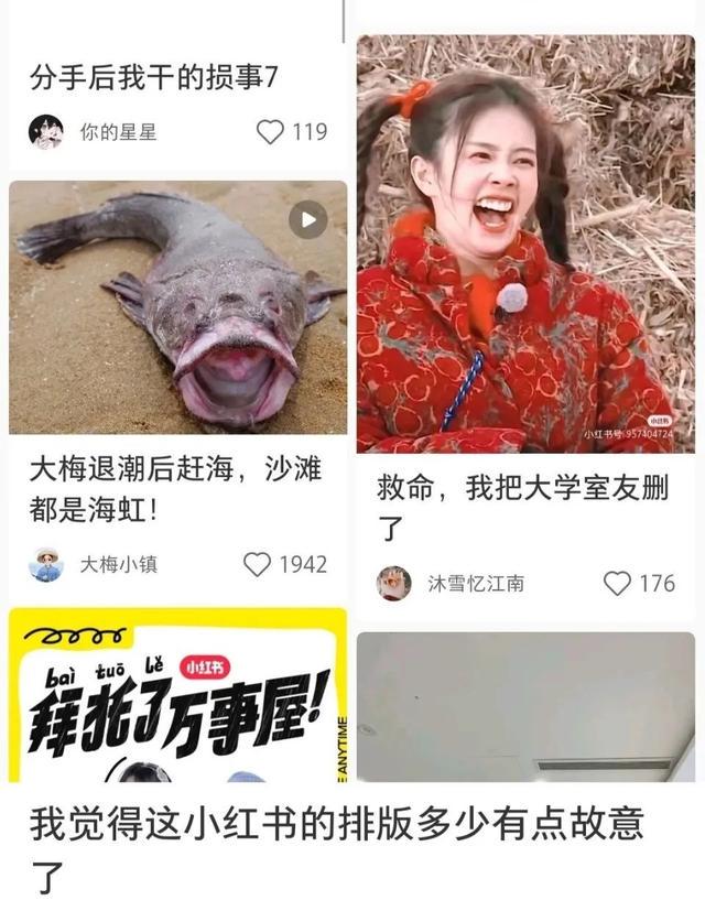 小红书的迷之排版，是要笑死我吗？哈哈哈