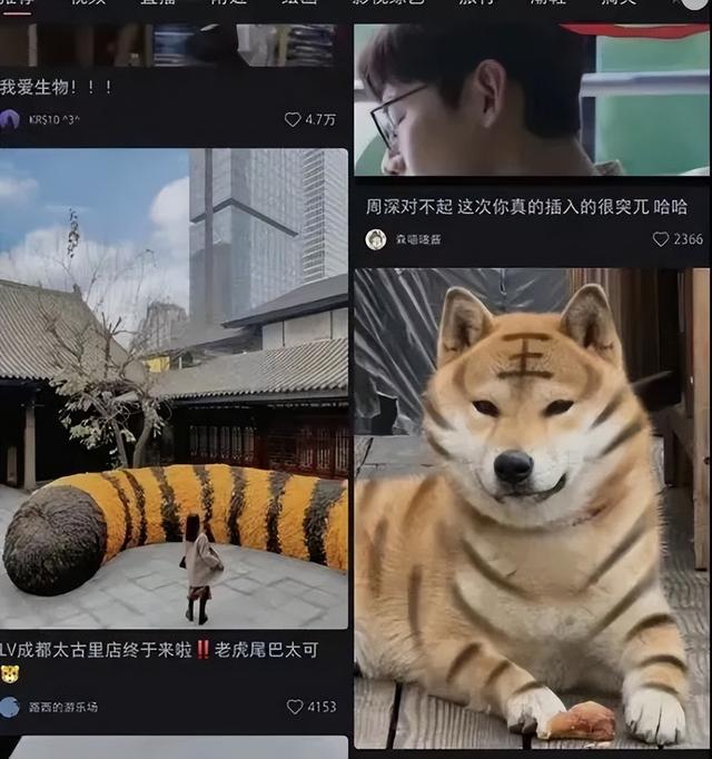 小红书的迷之排版,是要笑死我吗?哈哈哈 小红书的迷之排版,是要笑死我吗?哈哈哈