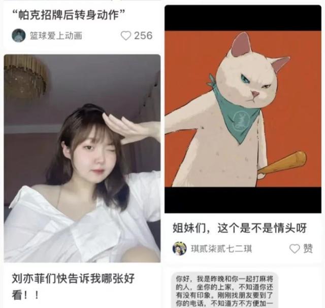 小红书的迷之排版，是要笑死我吗？哈哈哈