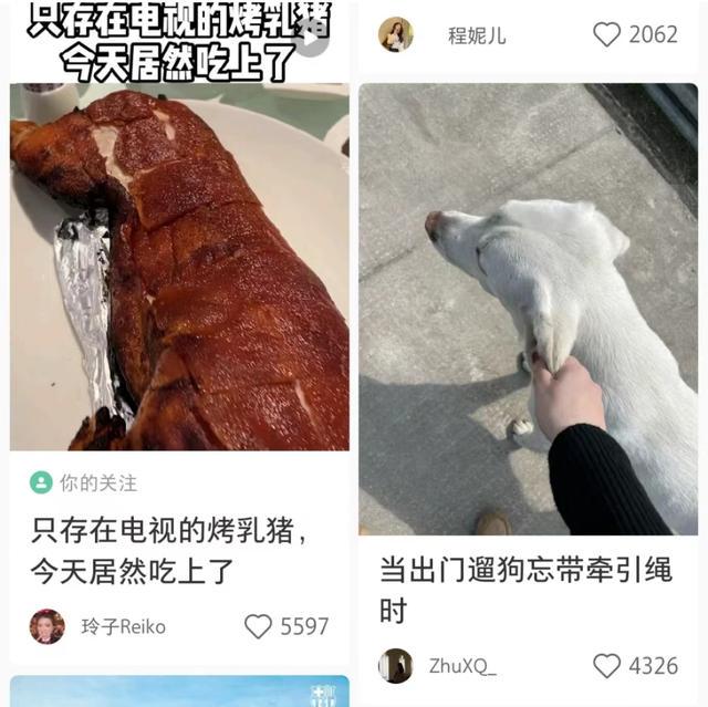 小红书的迷之排版，是要笑死我吗？哈哈哈