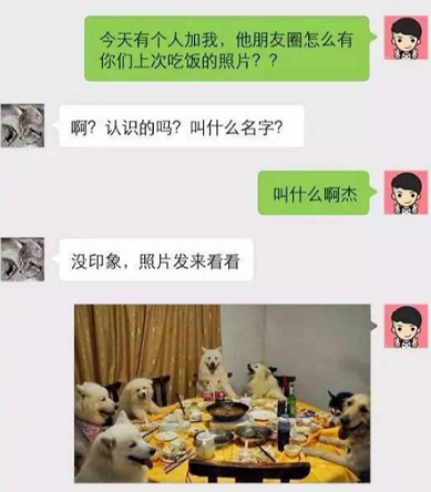“用新号试探媳妇,惨遭拒绝,正欣慰之时……”哈哈哈……差点气死了 “用新号试探媳妇,惨遭拒绝,正欣慰之时……”哈哈哈……差点气死了