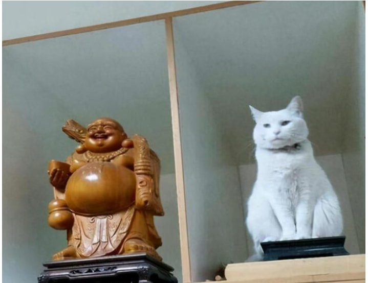 “小侄子造的句,嫂子看完浑身哆嗦,大哥外出6天没回家” “小侄子造的句,嫂子看完浑身哆嗦,大哥外出6天没回家”