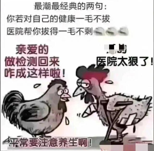 “在玉米地里无意间发现的,有点慌,现在跑还来得及吗?”哈哈哈 “在玉米地里无意间发现的,有点慌,现在跑还来得及吗?”哈哈哈
