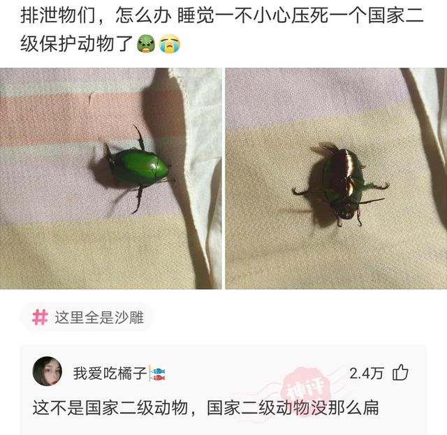神回复:如果可以远程办公,但是减薪25%你会怎么选择,神评绝了 神回复:如果可以远程办公,但是减薪25%你会怎么选择,神评绝了