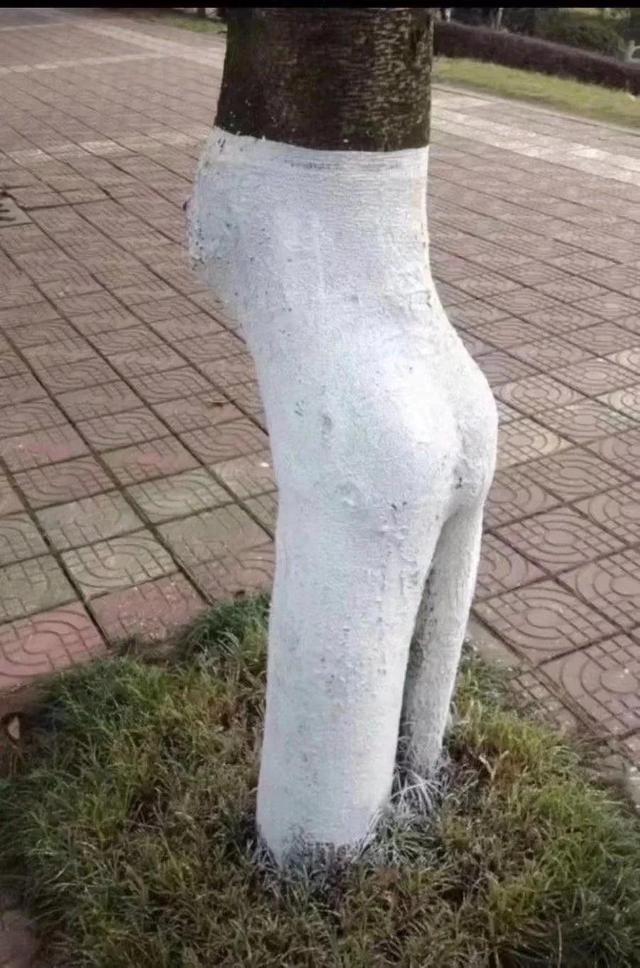 我朋友让我问问这是哪里的宿舍,工资无所谓,主要是宿舍环境好 我朋友让我问问这是哪里的宿舍,工资无所谓,主要是宿舍环境好