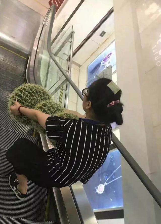 我朋友让我问问这是哪里的宿舍,工资无所谓,主要是宿舍环境好 我朋友让我问问这是哪里的宿舍,工资无所谓,主要是宿舍环境好