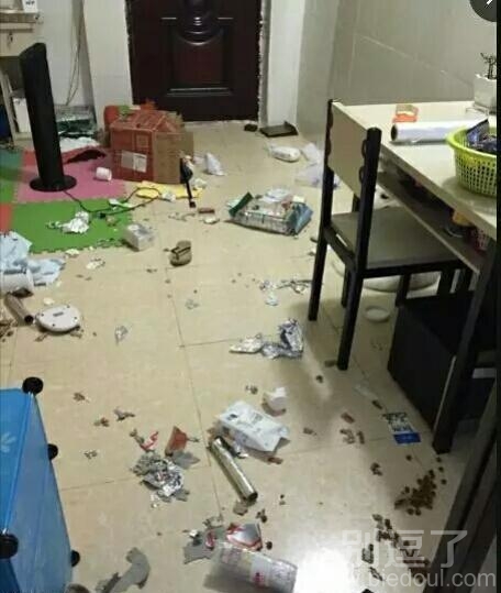 罪魁祸首就在现场？