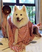 算命不要钱！！！