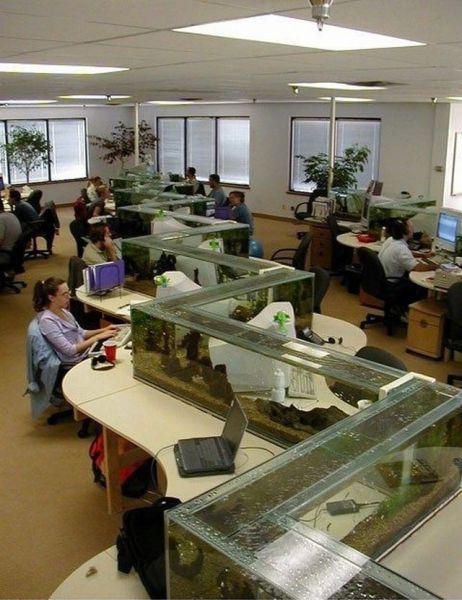 搞笑图片图解你那些不知道的事情。