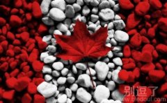 加拿大国旗的由来。 加拿大国旗的由来。