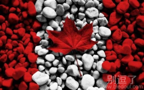加拿大国旗的由来。 加拿大国旗的由来。