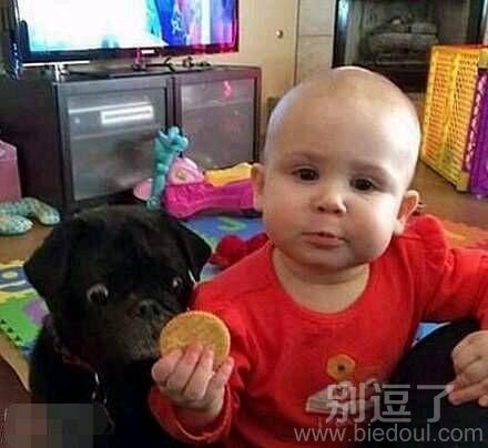 动物的世界我们不懂
