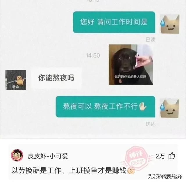 神评爆笑合集:做菜需要去超市买菜,而不是去超市拿 神评爆笑合集:做菜需要去超市买菜,而不是去超市拿