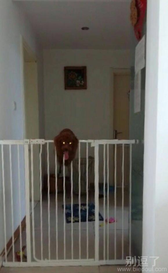 我特么都不敢进门了 我特么都不敢进门了