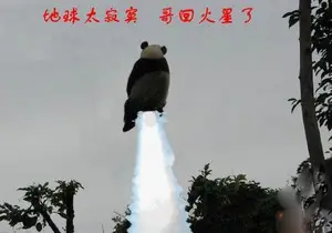 轻松一刻:我说我爱玩飞盘,你到处说我爱看女菇农暴汗 轻松一刻:我说我爱玩飞盘,你到处说我爱看女菇农暴汗