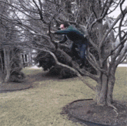 这个逼装的给满分