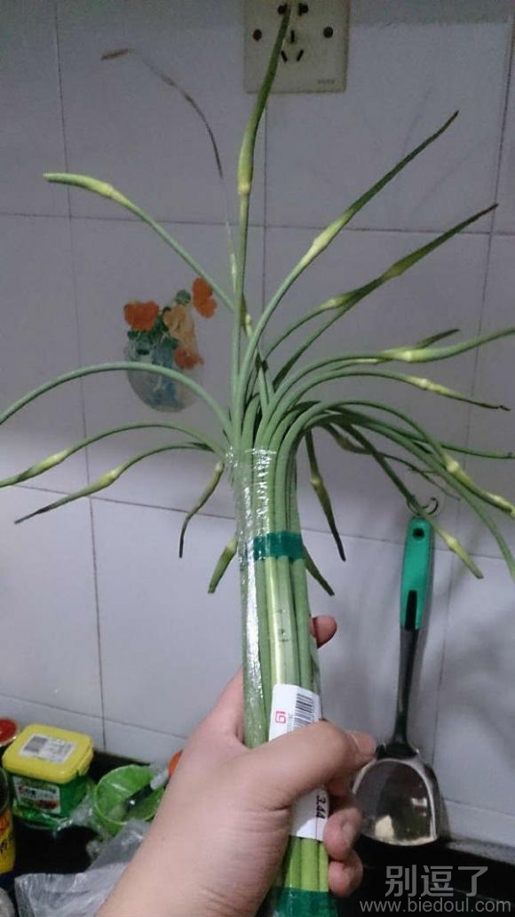 请外国留学生不要拿回去养 请外国留学生不要拿回去养