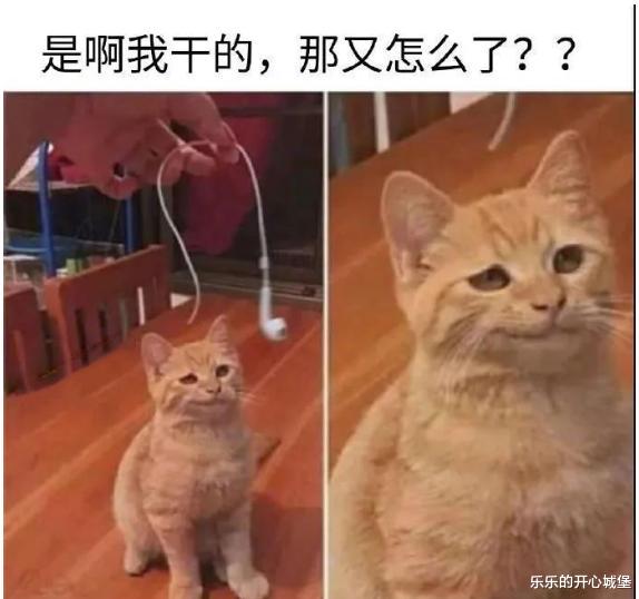 “情侣之间如何跨过屎尿屁的坎?第2位网友说的很接地气啊!”哈哈哈哈~ “情侣之间如何跨过屎尿屁的坎?第2位网友说的很接地气啊!”哈哈哈哈~