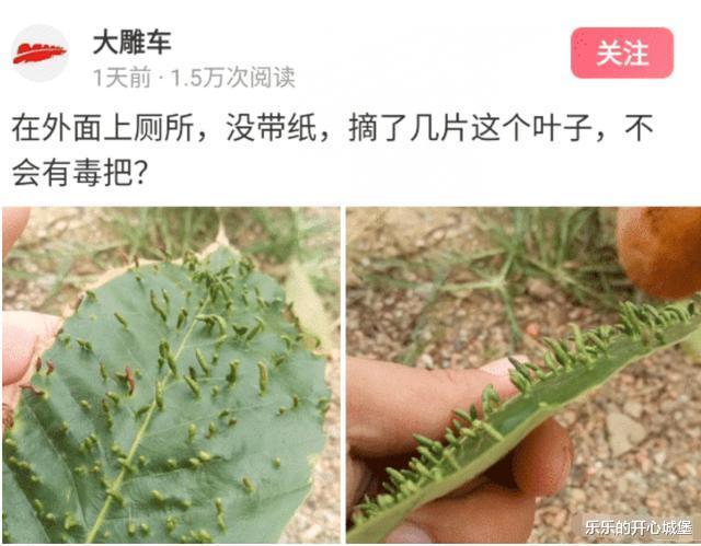 “情侣之间如何跨过屎尿屁的坎?第2位网友说的很接地气啊!”哈哈哈哈~ “情侣之间如何跨过屎尿屁的坎?第2位网友说的很接地气啊!”哈哈哈哈~