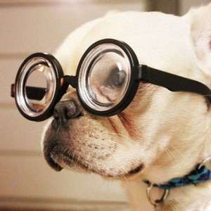 第二盘棋叫名师出高徒 第二盘棋叫名师出高徒