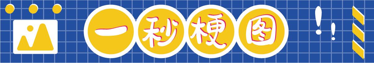 轻松一秒：你划水，我划水，老板鱼翅变鸡腿