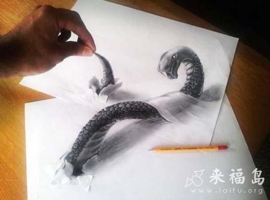 真正的出神入画 真正的出神入画