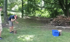 爆笑gif 真的是看哭了的节奏呀