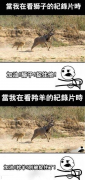 还真是这么一回事