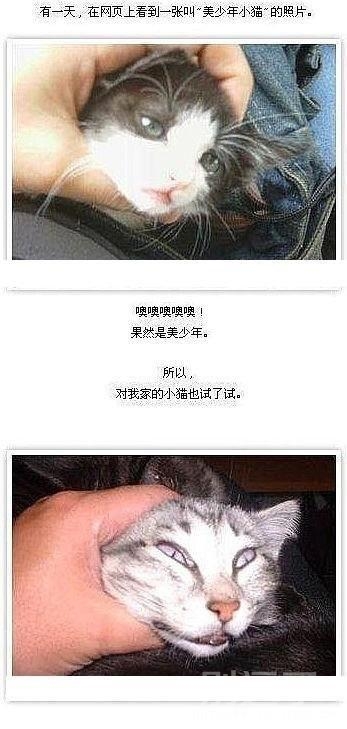 这就是差距啊,小猫们 这就是差距啊,小猫们