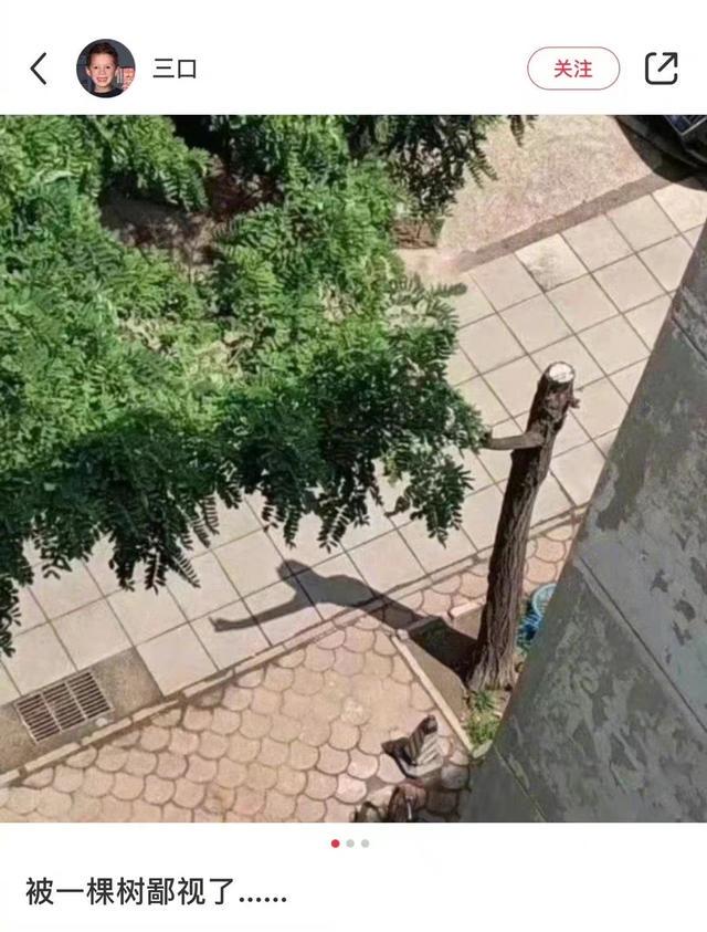 爸爸的网名有多搞笑,友友们的父亲有取过哪些有意思的网名? 爸爸的网名有多搞笑,友友们的父亲有取过哪些有意思的网名?