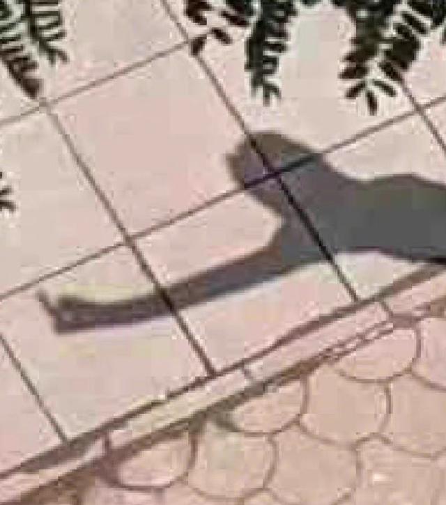 爸爸的网名有多搞笑,友友们的父亲有取过哪些有意思的网名? 爸爸的网名有多搞笑,友友们的父亲有取过哪些有意思的网名?
