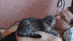 爱撒娇的喵星人 爱撒娇的喵星人