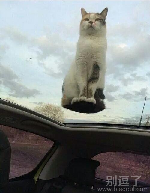 求我呀,求我我教你 求我呀,求我我教你